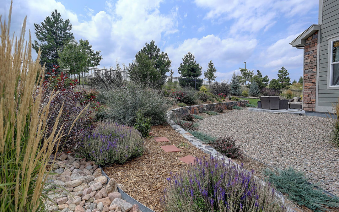 Beautiful residential rock, stone, and plant xeriscape