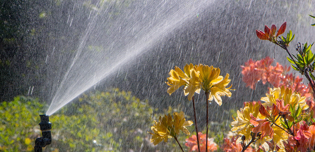 Clever garden with a fully automatic irrigation system