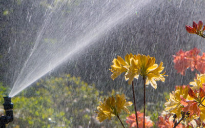 How Proper Irrigation Design Can Increase Property Value and Save Water