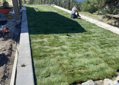 Emerald Irrigation crew member laying sod