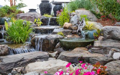 Finding Your way around pondless water features