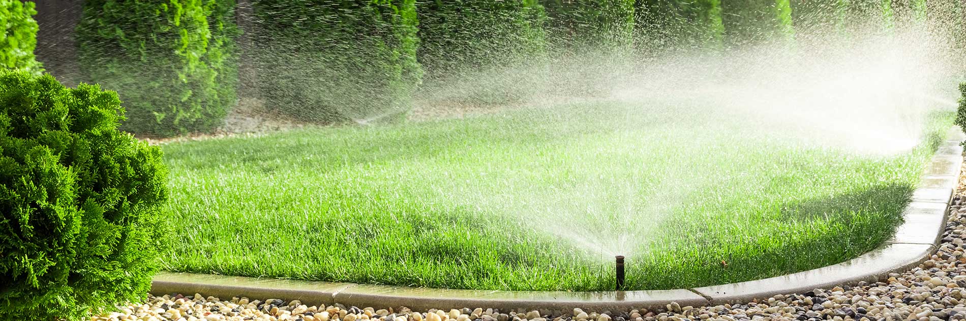 Sprinklers watering grass