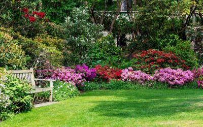 Everything you should know about soft landscaping