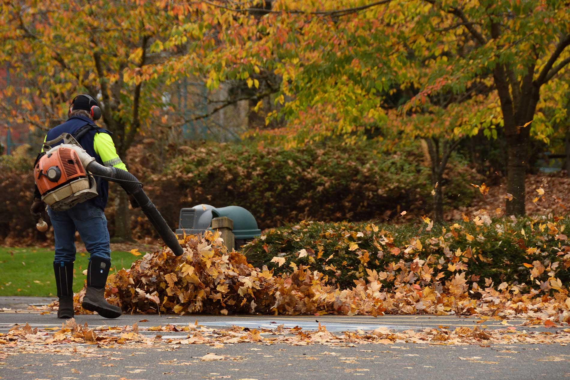 Seasonal Landscape Cleanups for Commercial & Strata Grounds | Emerald ...