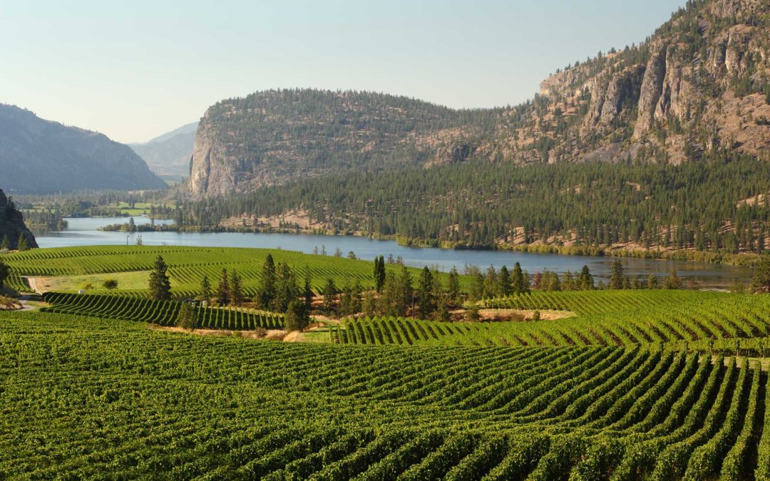 featuredimage-Water-Conservation-Methods-in-the-Okanagan-Valley