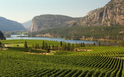 Water Conservation Methods in the Okanagan Valley