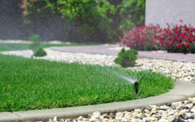 What You’ll Love about an Irrigation System